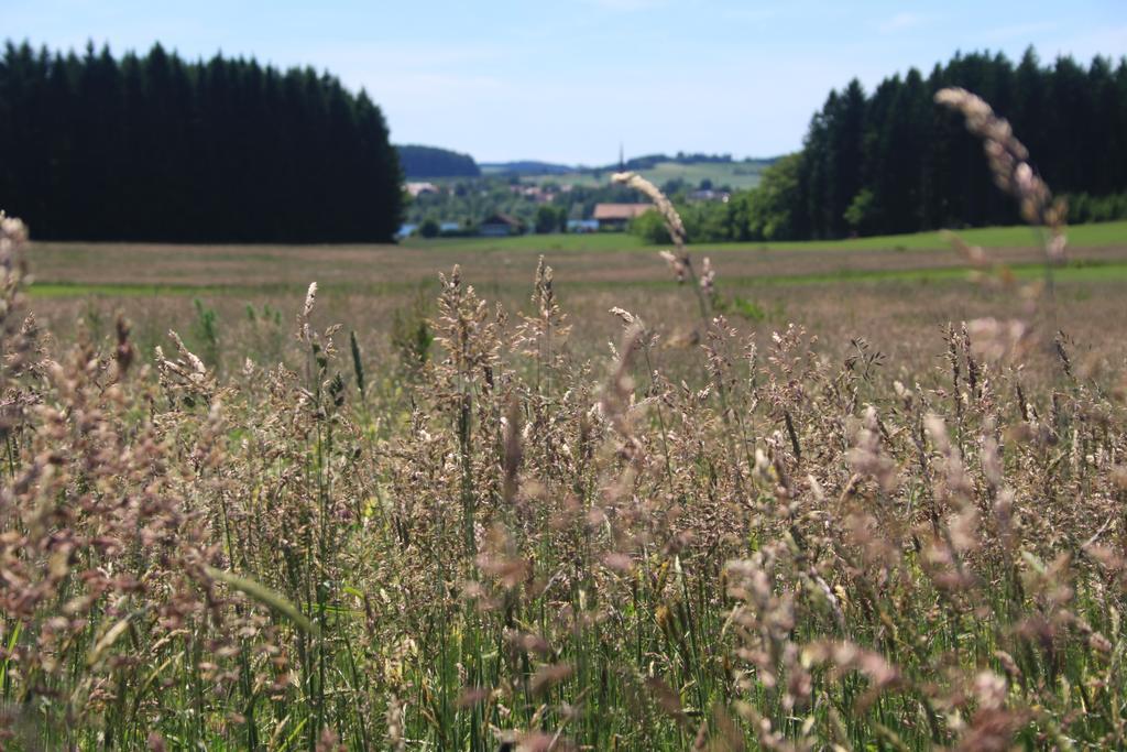 Zehentmayrhof Obing Camera foto