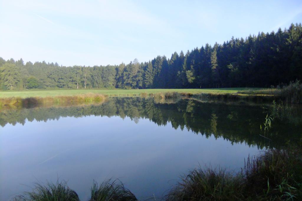 Zehentmayrhof Obing Camera foto
